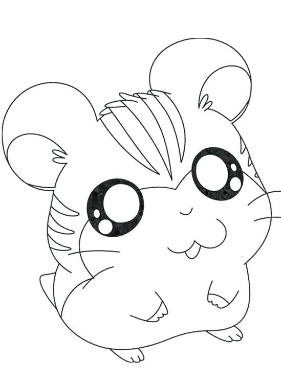 549x749 Dwarf Hamster Coloring Pages Coloring Pages Collection