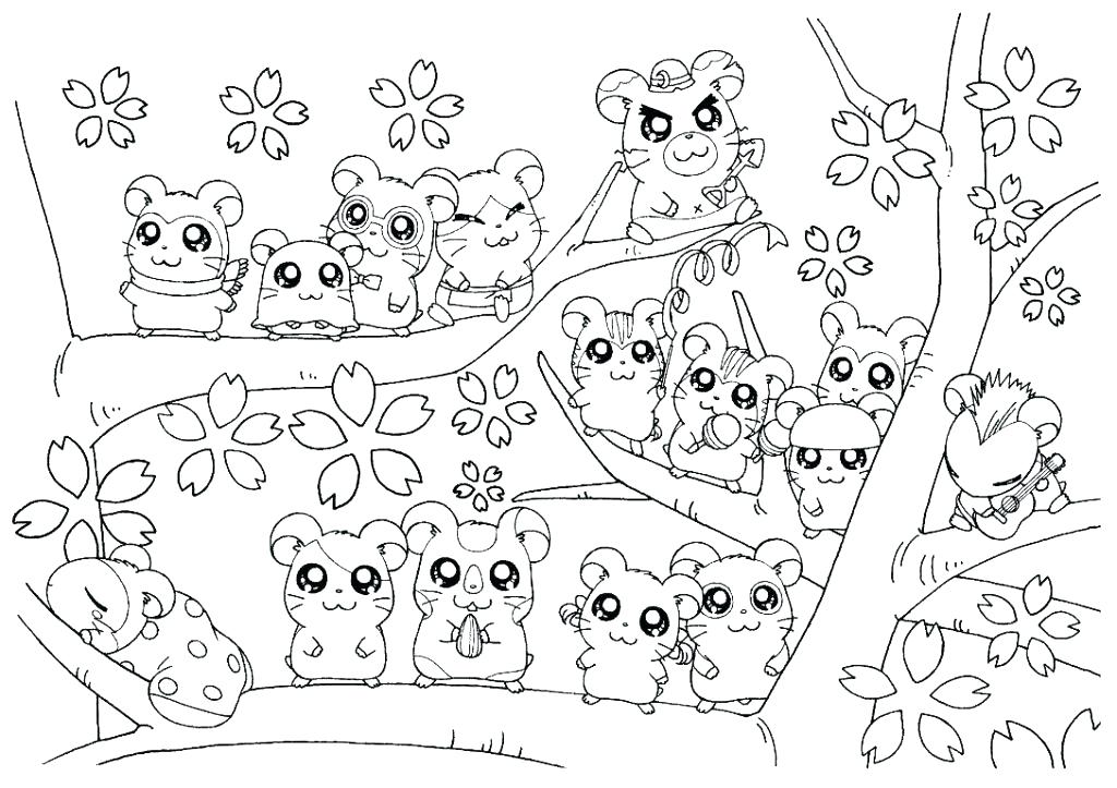 1024x723 Cute Hamster Coloring Pages Hamster Coloring Page Pets Coloring