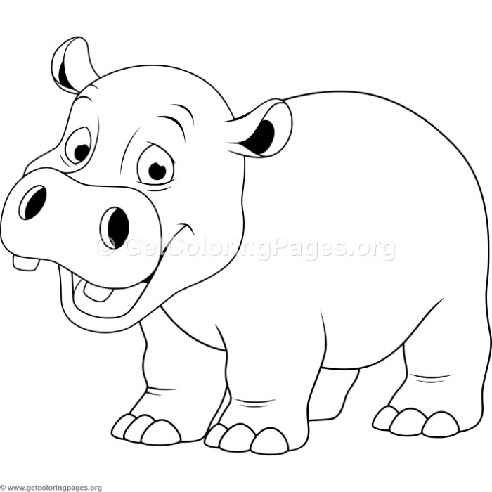 Cartoon Baby Hippo Coloring Pages 700x700 Cartoon Baby Hippo Coloring Pages