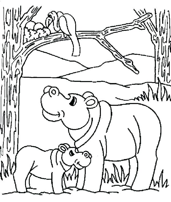 Hippopotamus Coloring Pages Hippo Coloring Pages Baby Cartoon 600x708 Hippopotamus Coloring Pages Hippo Coloring Pages Baby Cartoon