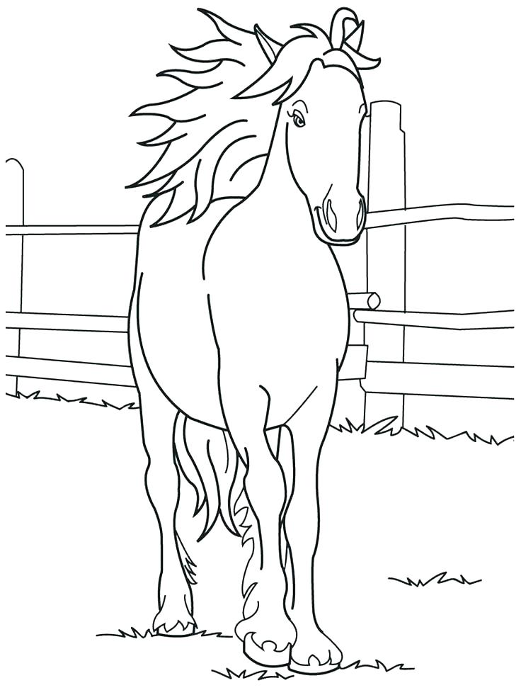 736x981 Coloring Pages Horse Free Horse Coloring Pages Horses Coloring