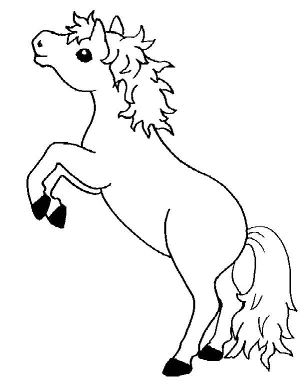 600x767 Cute Horse Coloring Pages