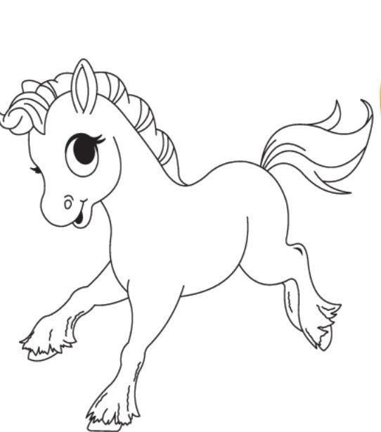 542x614 Drawn Baby Animal Pony Pencil And In Color Tearing Cute Coloring
