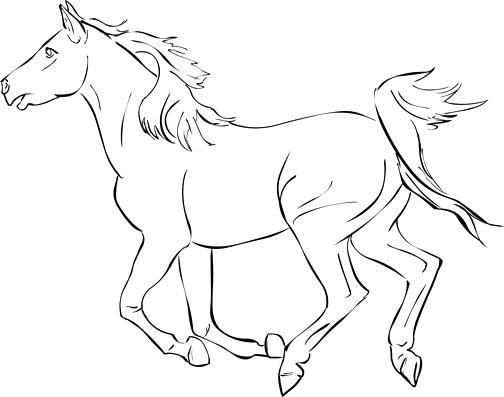 504x397 Free Horse Coloring Pages Free Horse Coloring Pages Baby Horse