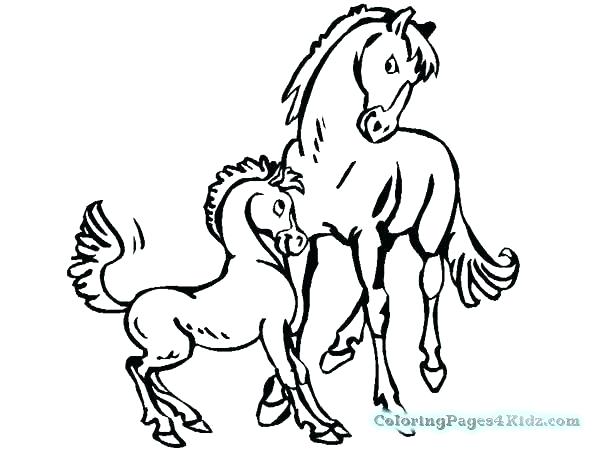 600x450 Mother Horse And Foal Coloring Pages Baby Horses Coloring Pages