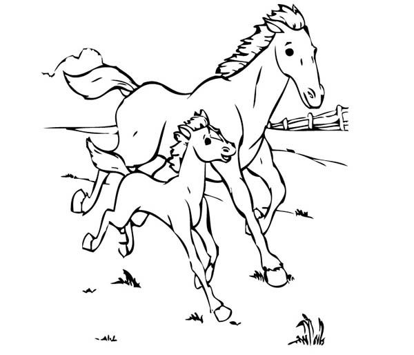 600x514 Baby Horse Coloring Pages Horse, Baby Horse Running With His