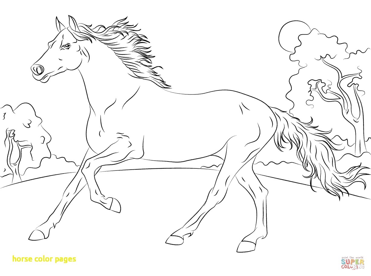 1228x916 Baby Horse Coloring Pages Collection