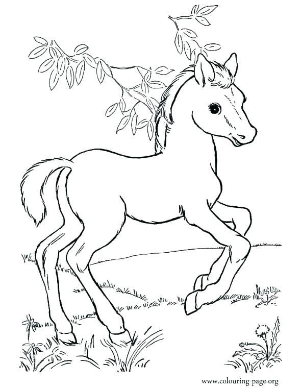 590x760 Baby Horse Coloring Pages Cute Horse Coloring Pages Trend Baby