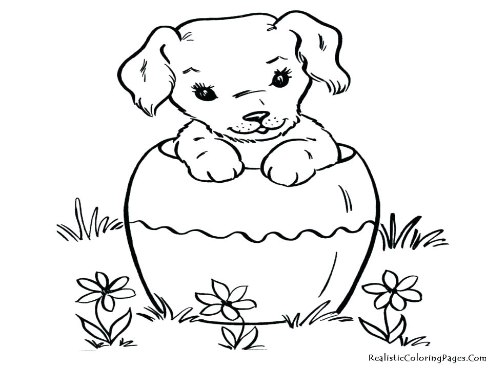 Fresh Husky Coloring Pages For Husky Dog Coloring Pages Husky 948x711 Fresh Husky Coloring Pages For Husky Dog Coloring Pages Husky