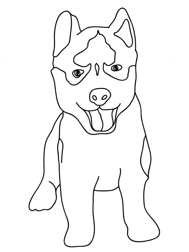 Husky Coloring Pages 640x853 Husky Coloring Pages