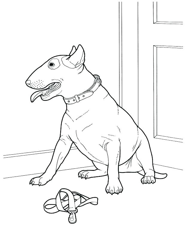 Husky Coloring Pages Baby The Dog Coloring Pages Great Husky 618x836 Husky Coloring Pages Baby The Dog Coloring Pages Great Husky