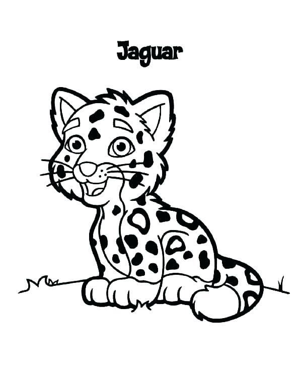 600x743 Jaguar Coloring Pages Best Of Jaguar Coloring Page Images