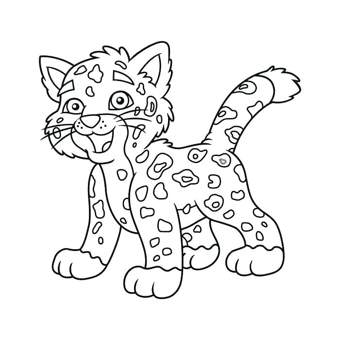 700x700 Jaguar Coloring Sheet Jaguar Coloring Pages For Preschoolers Baby