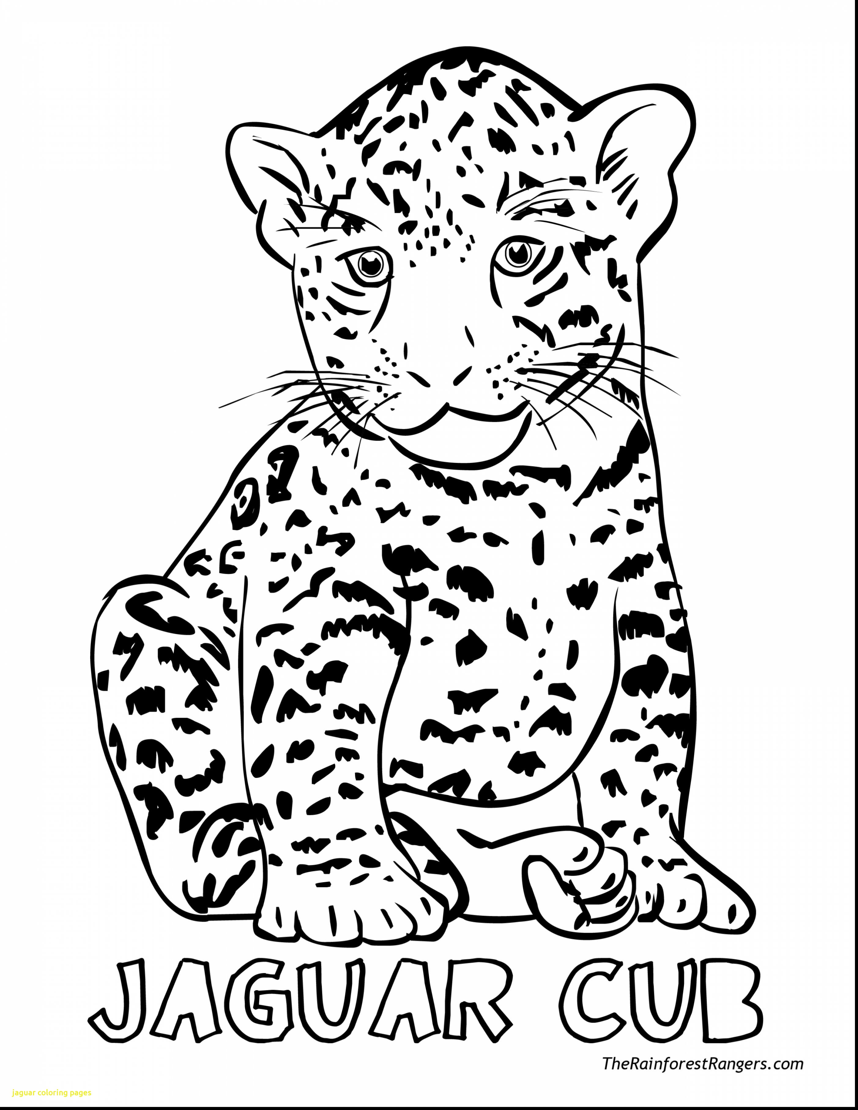 2805x3630 Ba Jaguar Coloring Pages With Fantastic Go Printable In Prepare 10