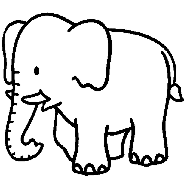 Baby Jungle Animals Coloring Pages 612x652 Baby Jungle Animals Coloring Pages