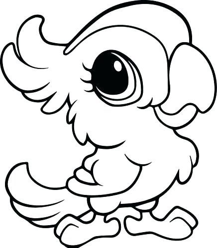 Baby Jungle Animals Coloring Pages Coloring Pages Jungle Animal 436x500 Baby Jungle Animals Coloring Pages Coloring Pages Jungle Animal