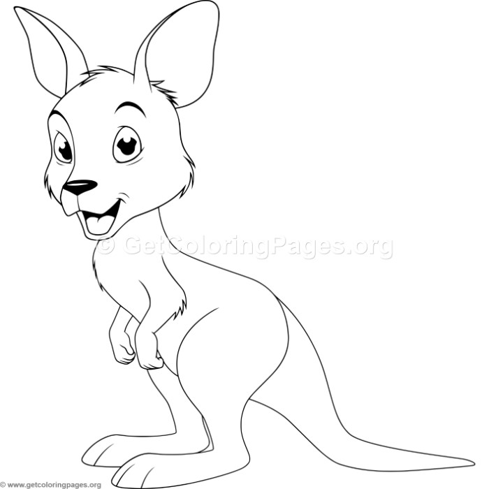 700x700 Cartoon Baby Kangaroo Coloring Pages