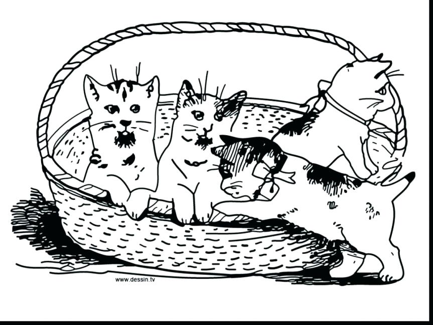 863x647 Three Little Kittens Coloring Pages Extraordinary Baby Kittens