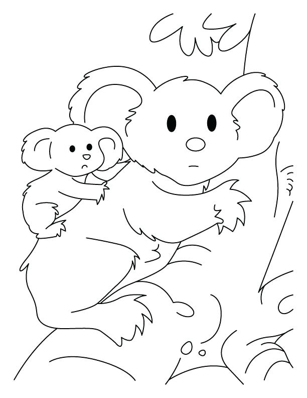 Koala Bear Coloring Pages Popular Koala Coloring Page Ideas 612x792 Koala Bear Coloring Pages Popular Koala Coloring Page Ideas