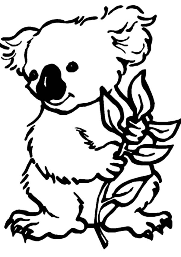 Koala Coloring Pages 600x851 Koala Coloring Pages