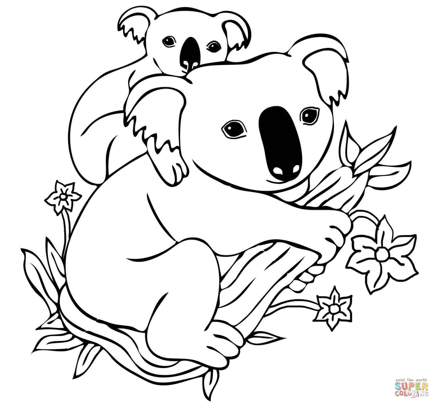 Baby Koala On Mothers Back Coloring Page At Koala Coloring Pages 1500x1392 Baby Koala On Mothers Back Coloring Page At Koala Coloring Pages