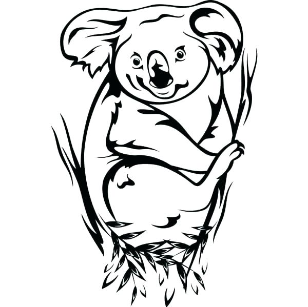 Baby Koala Pictures To Color Printable Coloring Koala Bear 600x599 Baby Koala Pictures To Color Printable Coloring Koala Bear