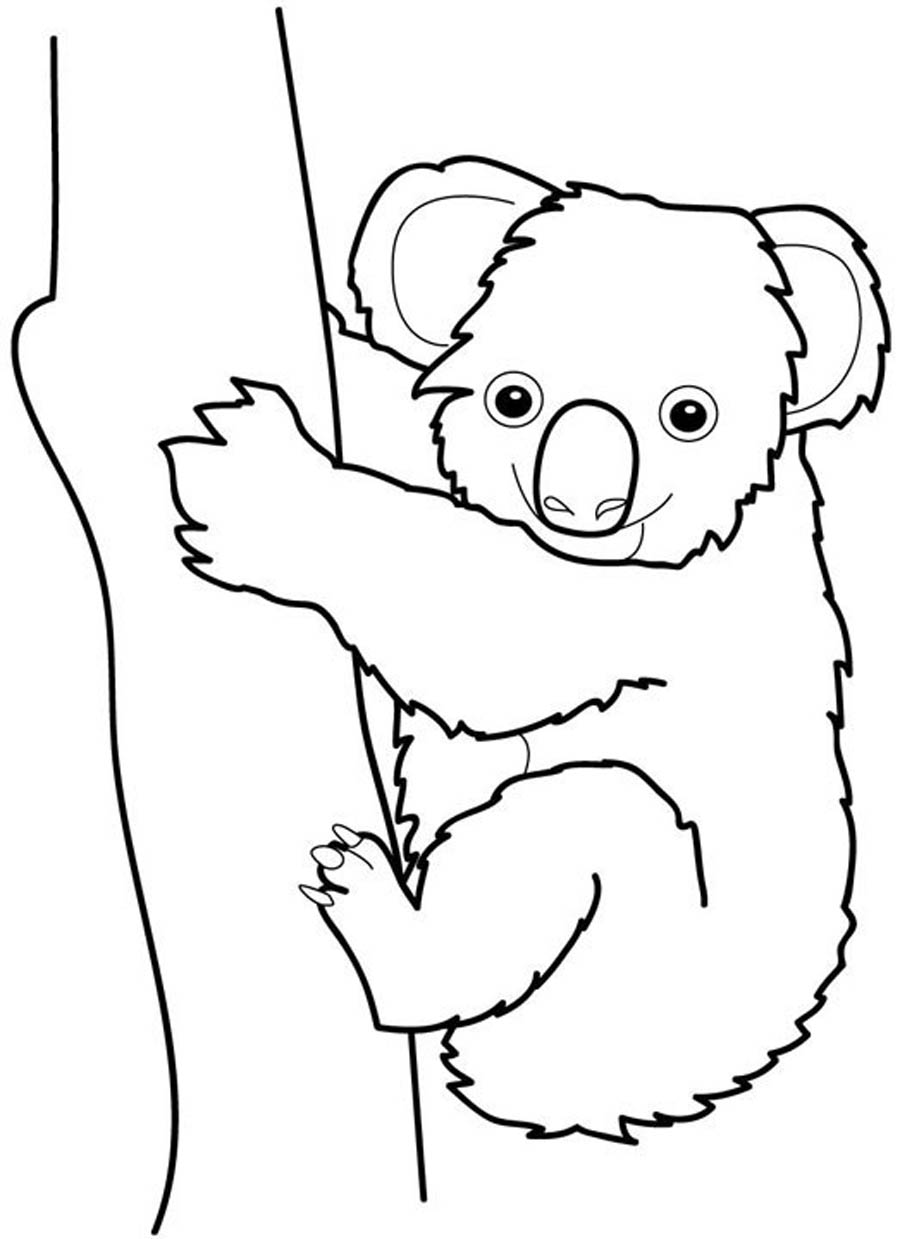 Coloring For Kids Marvelous Baby Koala Pages Printable Free Bear 900x1239 Coloring For Kids Marvelous Baby Koala Pages Printable Free Bear