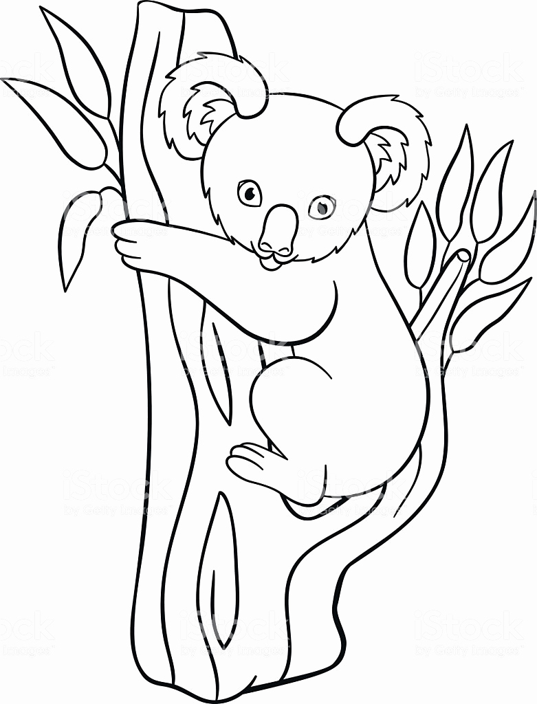 Cute Animal Coloring Pages Baby Animals Coloring Pages Beautiful 781x1024 Cute Animal Coloring Pages Baby Animals Coloring Pages Beautiful
