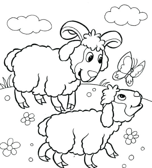 Coloring Page Sheep Coloring Pages Sheep Lamb Picture 534x591 Coloring Page Sheep Coloring Pages Sheep Lamb Picture