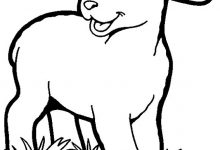 Lamb Coloring Pages 220x150 Lamb Coloring Pages