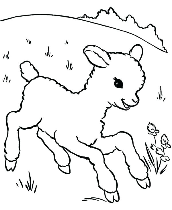Meadow Coloring Pages Meadow Flower Coloring Pages Coloring Pages 600x734 Meadow Coloring Pages Meadow Flower Coloring Pages Coloring Pages