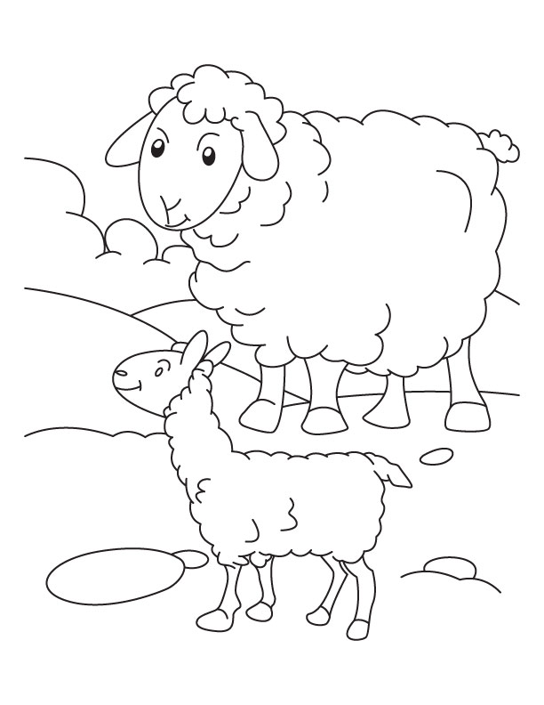 Baby Sheep And Mom Coloring Pages 612x792 Baby Sheep And Mom Coloring Pages