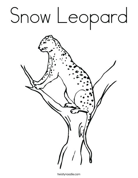 468x605 Snow Leopard Color Picker Leopard Coloring Page Snow Leopard Color