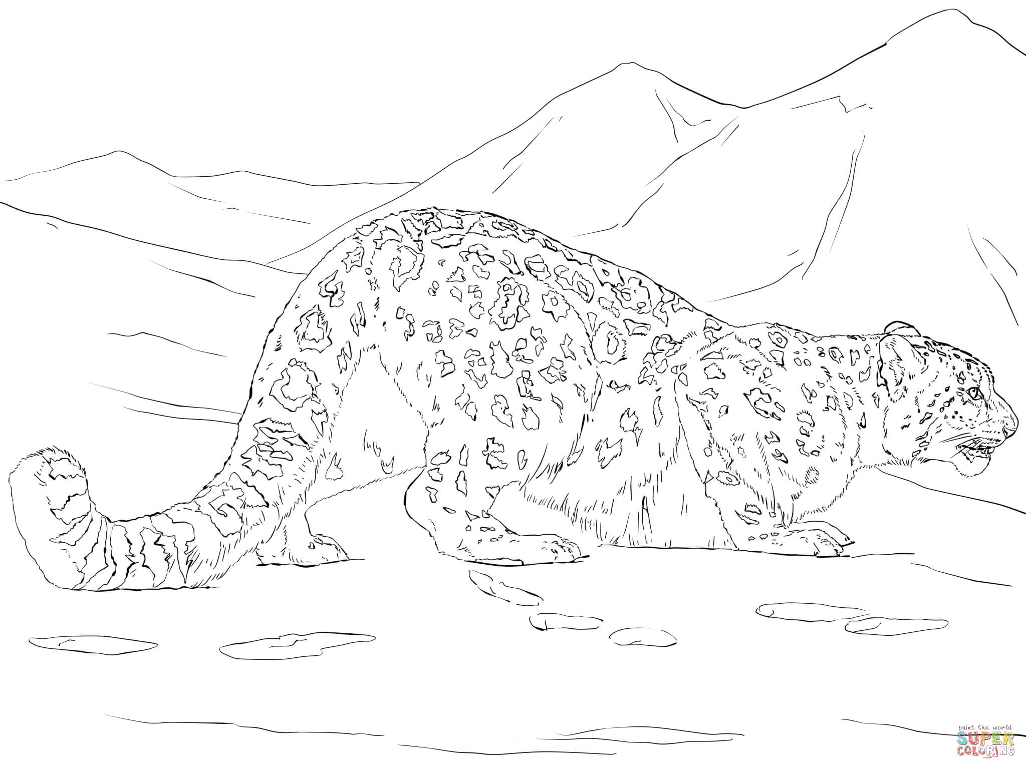 2048x1536 Snow Leopard Coloring Pages