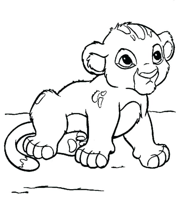 Lion Drawing For Coloring Baby Lion Coloring Pages Coloring Pages 600x666 Lion Drawing For Coloring Baby Lion Coloring Pages Coloring Pages