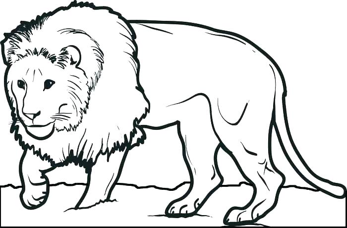 Baby Lion Colouring Pages Printable Coloring Lion Coloring Sheet 700x460 Baby Lion Colouring Pages Printable Coloring Lion Coloring Sheet