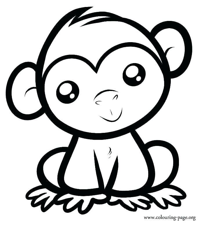 Coloring Pages Of Baby Monkeys 700x774 Coloring Pages Of Baby Monkeys
