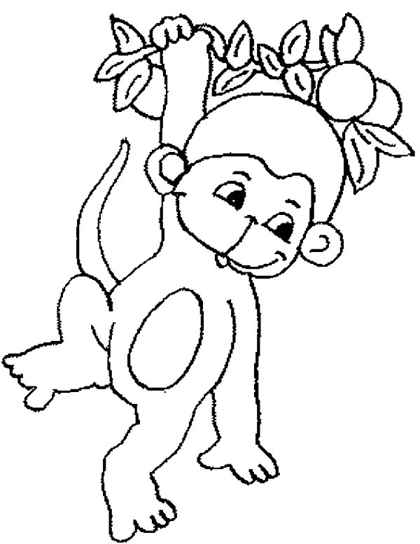 Monkey, Cute Baby Monkey Hanging On Tree Coloring Page For Kids 600x777 Monkey, Cute Baby Monkey Hanging On Tree Coloring Page For Kids