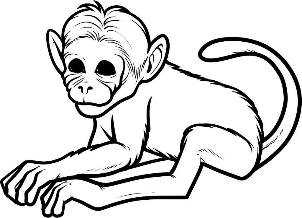 Nice Baby Monkey Coloring Pages 38 1024x738 Nice Baby Monkey Coloring Pages 38