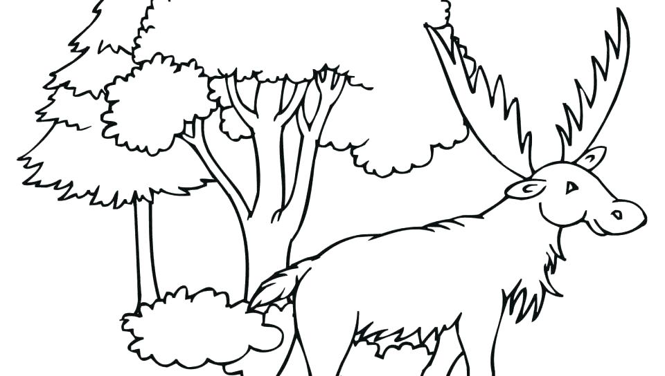 960x544 Moose Coloring Page Coloring Page Bull Moose Coloring Page Free
