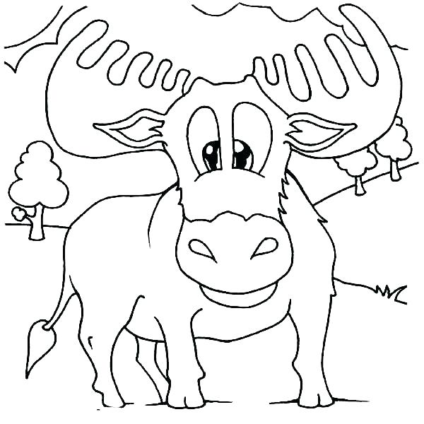 600x600 Moose Coloring Page Moose Coloring Page Moose Coloring Pages Cute