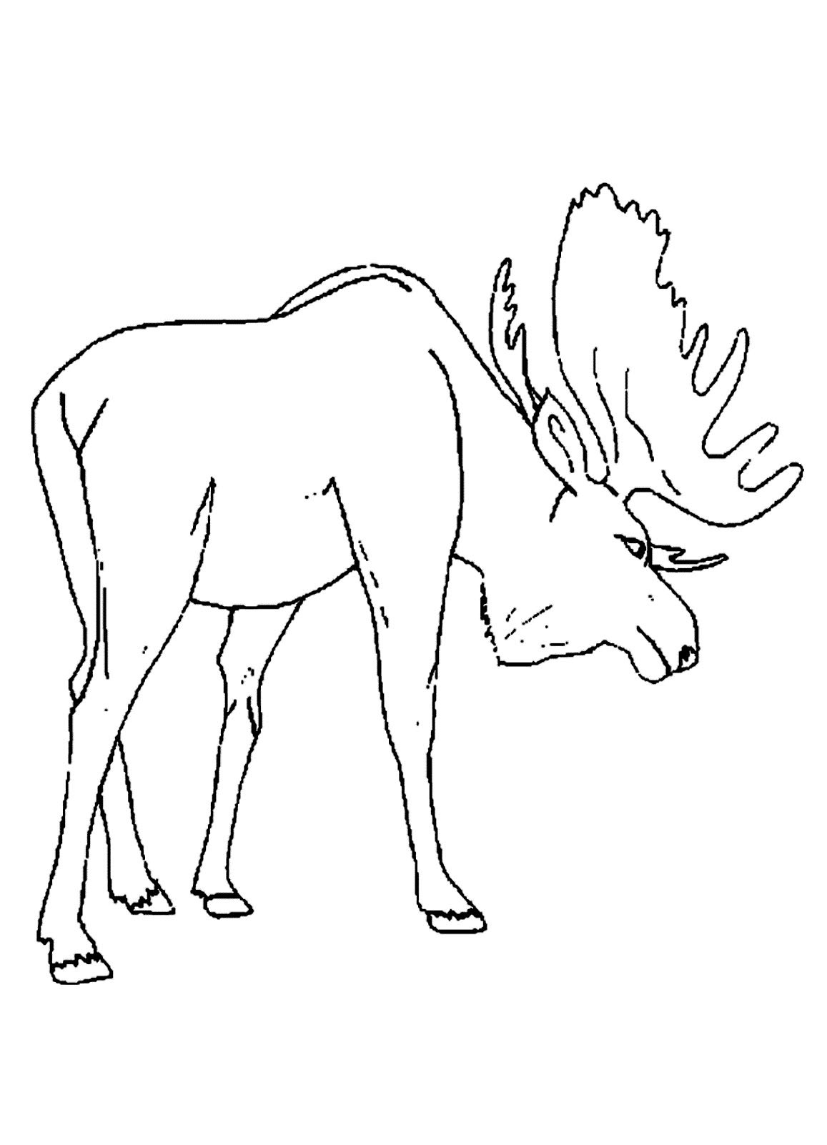 1157x1602 Moose Coloring Pages