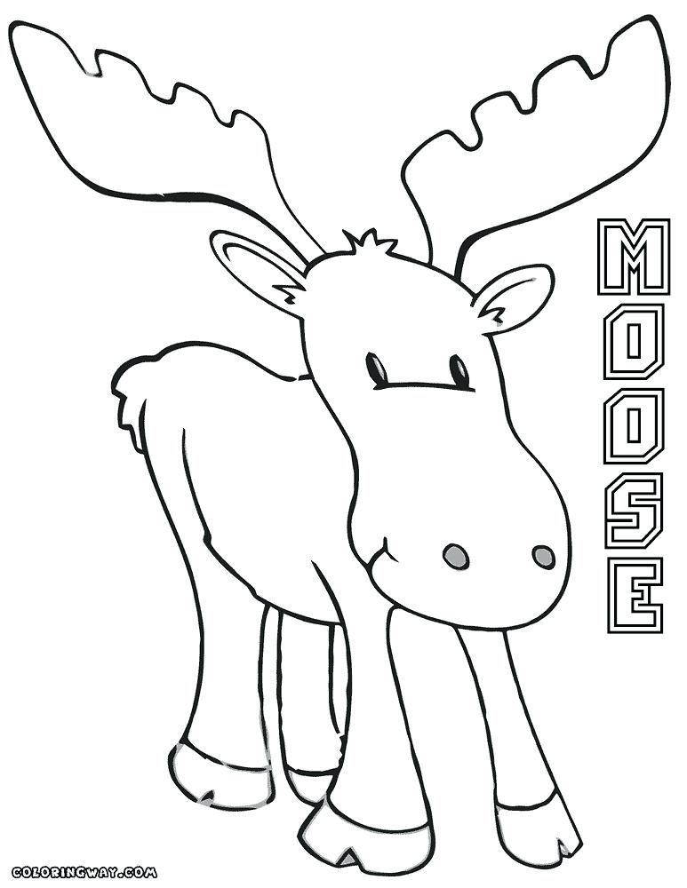 773x1000 Moose Coloring Pages Moose Coloring Pages Cute Moose Coloring