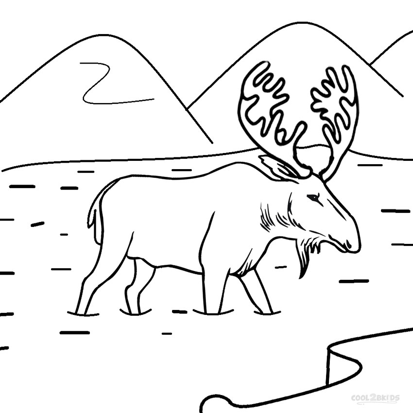 850x850 Printable Moose Coloring Pages For Kids Cool2bkids