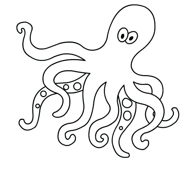 Octopus Coloring Pages Octopus Coloring Pages Printable Cute 678x600 Octopus Coloring Pages Octopus Coloring Pages Printable Cute