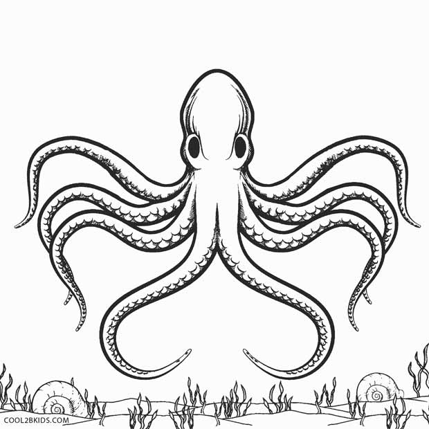 Octopus Coloring Pages Printable Octopus Coloring Page For Kids 620x620 Octopus Coloring Pages Printable Octopus Coloring Page For Kids