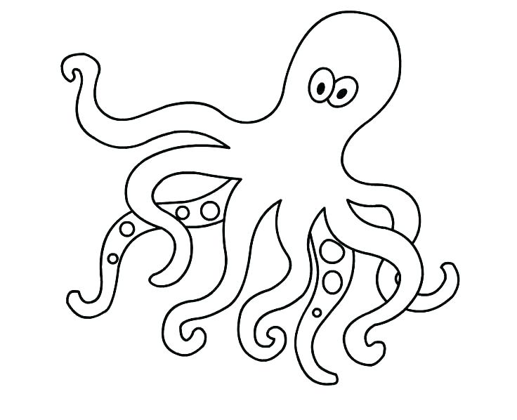 Octopus Coloring Pages Realistic Octopus Coloring Pages 736x598 Octopus Coloring Pages Realistic Octopus Coloring Pages