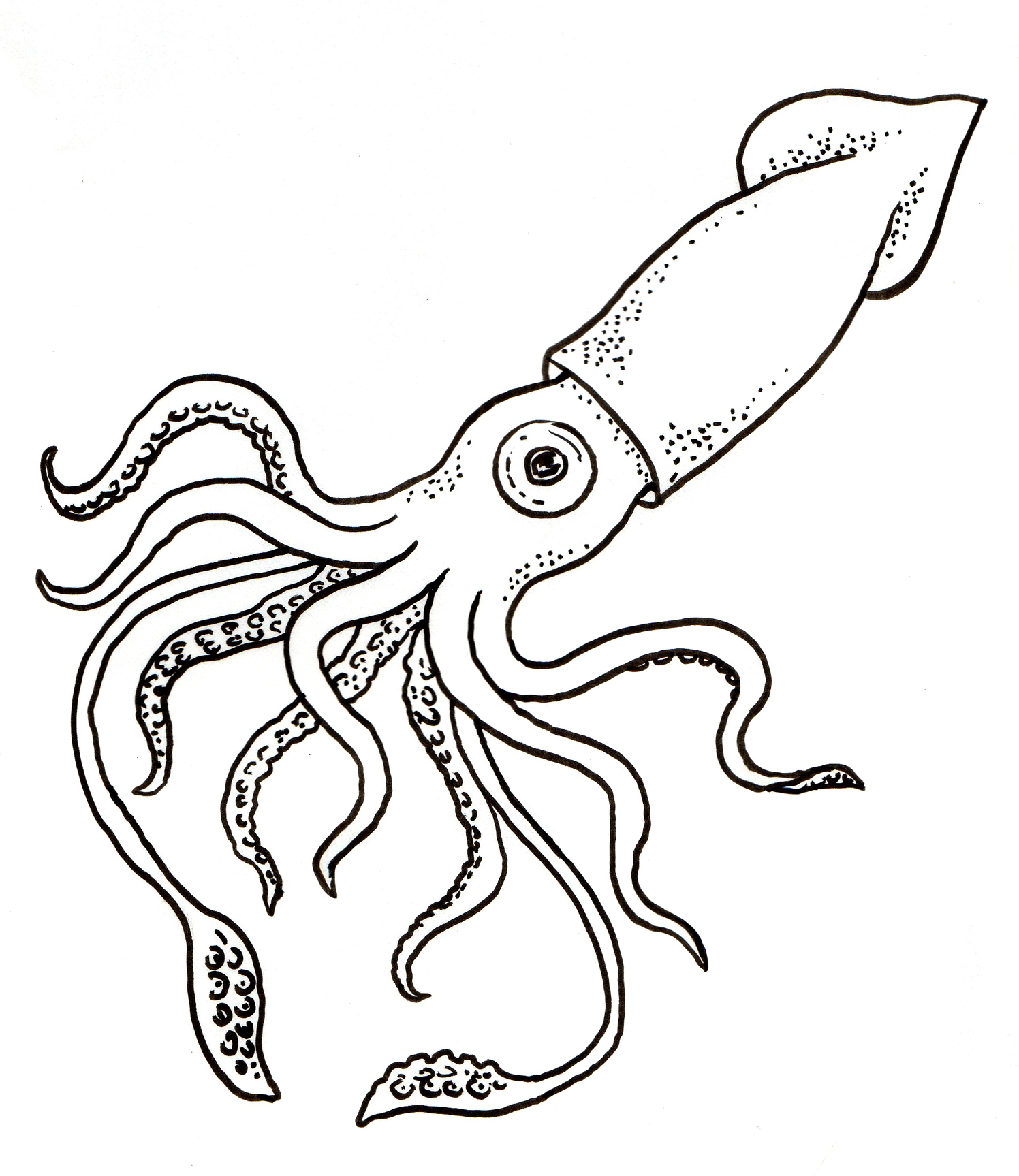 Excellent Octopus Pictures To Colour Coloring Page 1593 505 470 1496x1727 Excellent Octopus Pictures To Colour Coloring Page 1593 505 470
