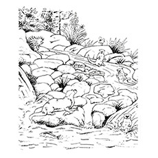 230x230 10 Best Otter Coloring Pages For Toddlers