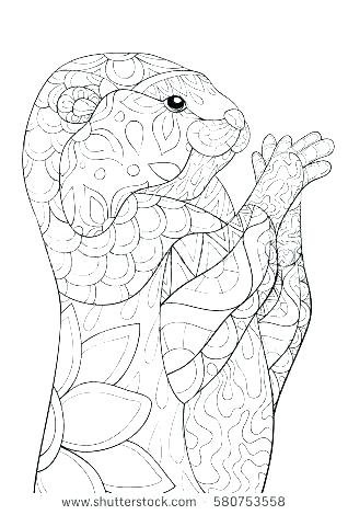 318x470 Baby Otter Coloring Pages Dolphin And Otters Free Coloring Baby